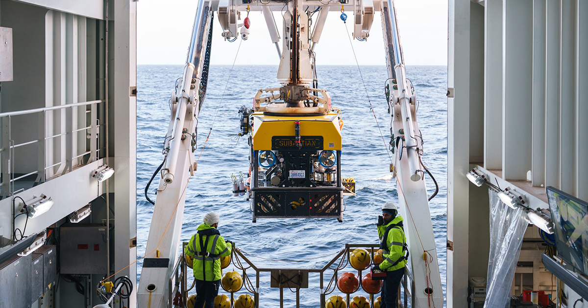 Uruguay Deep-Sea Exploration Unveils Vibrant Coral Reefs