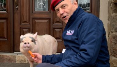 Trump picks ‘cat fight’ with New York City mayoral candidate