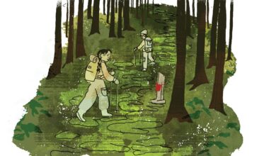 A hike on an ancient pilgrimage route in Japan reminded me to open my heart