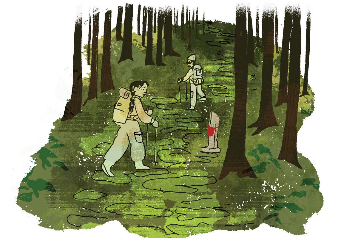 A hike on an ancient pilgrimage route in Japan reminded me to open my heart