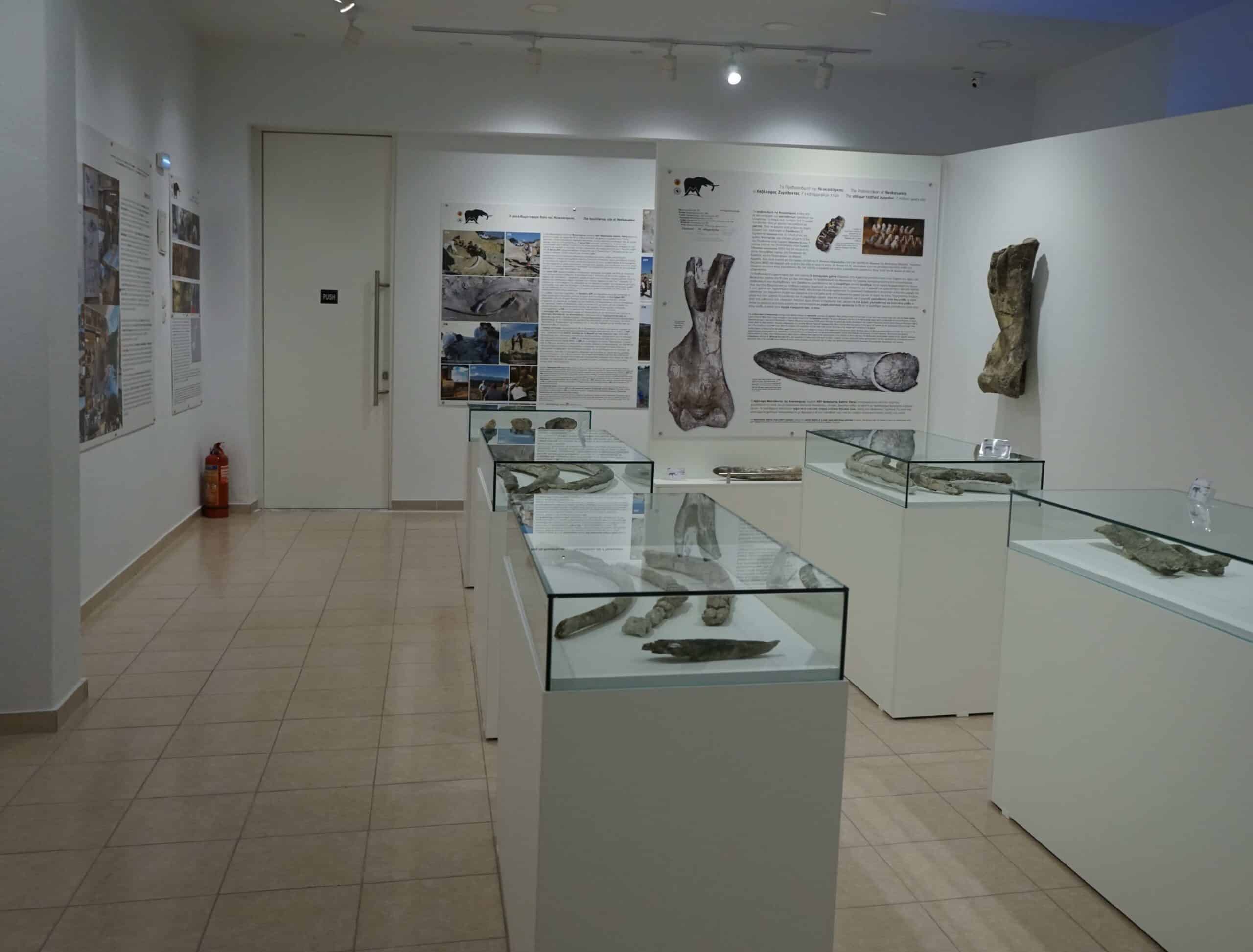 Part of the mastodon museum in northern Greece