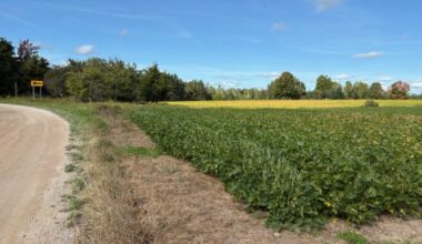 Federal tariffs affecting food and crop costs | News, Sports, Jobs