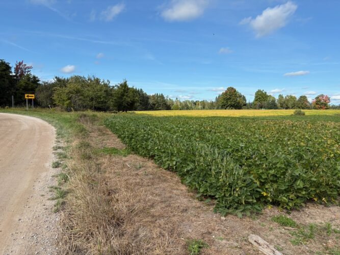 Federal tariffs affecting food and crop costs | News, Sports, Jobs