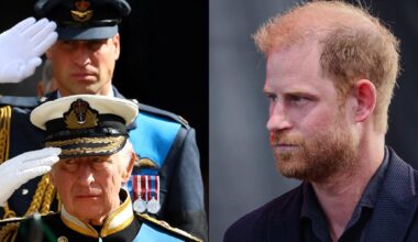 Prince Harry's Brother Bonding With Dad Amid Reunion Struggles