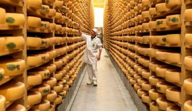 Whey to go: Is cheese the new reason to travel?