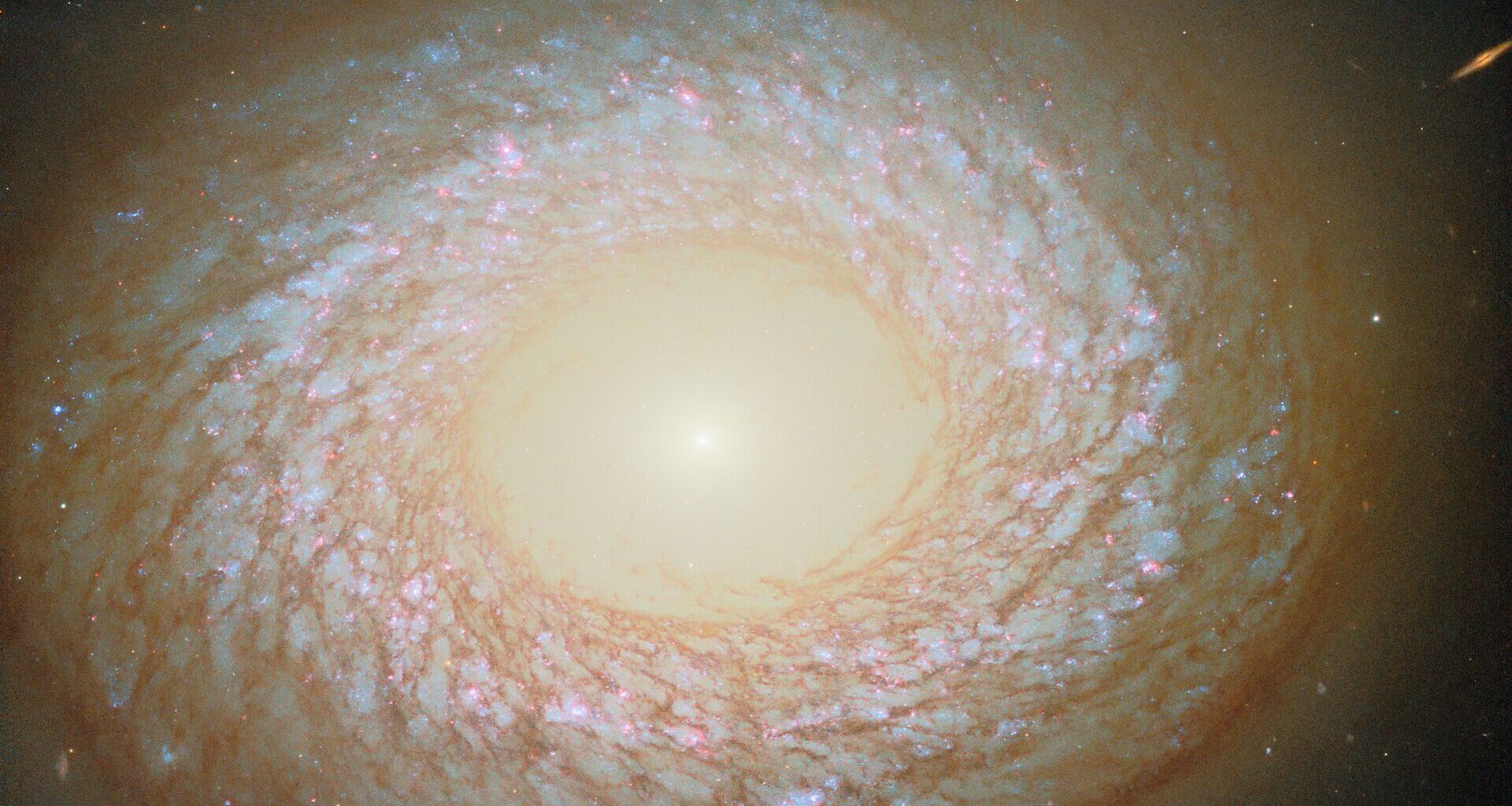 A ring of glowing gas and stars creates a brilliant galaxy seen in the darkness of space.
