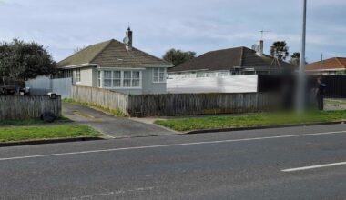 Witness watches three men with gun storm Napier home: ‘We’re petrified’