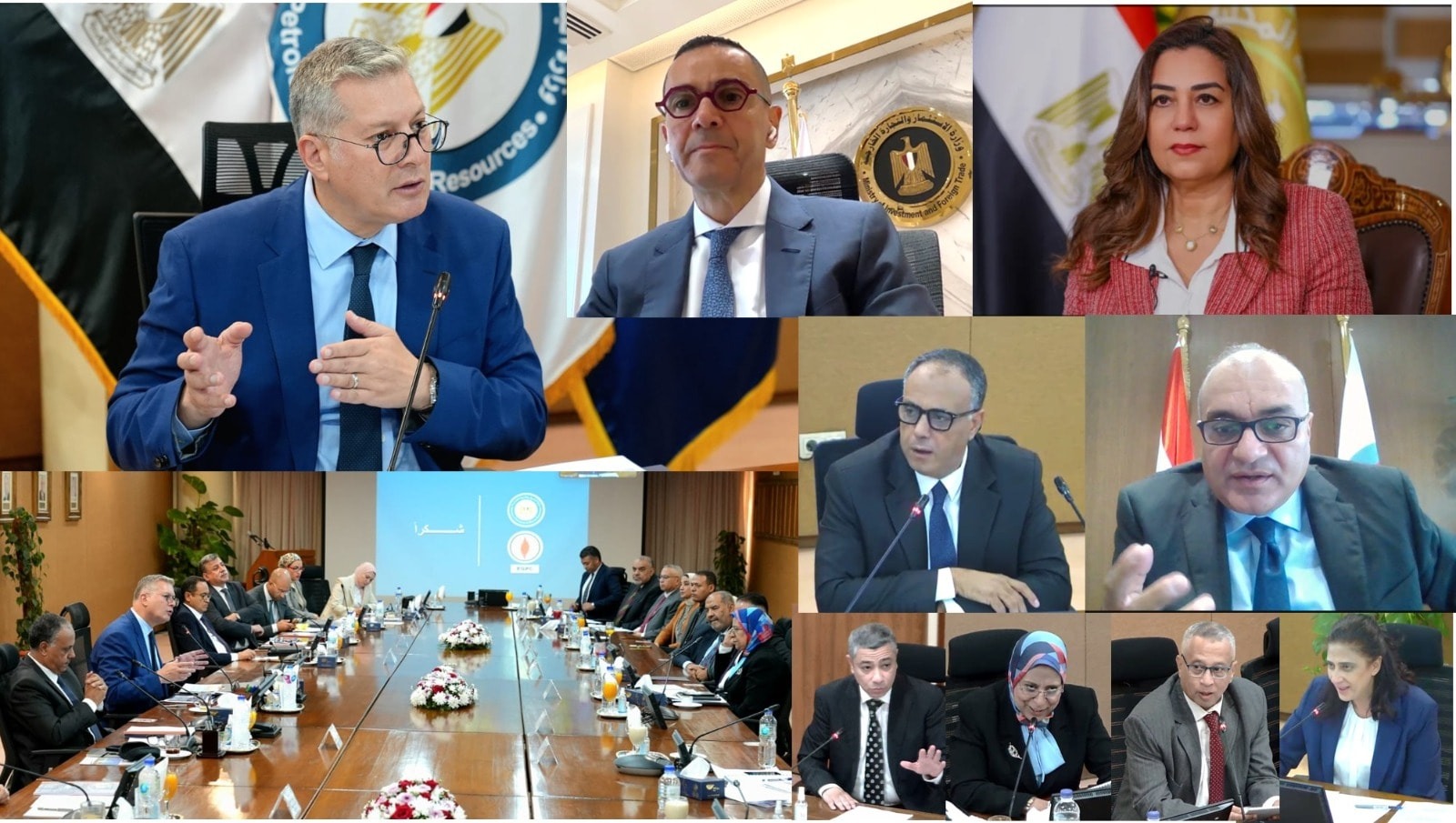 Egypt's Petroleum Sector balanced power supply, energy needs in challenging year: Minister