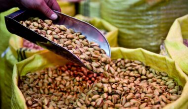 Canada bans pistachio imports from Iran amid salmonella outbreak - CTV News