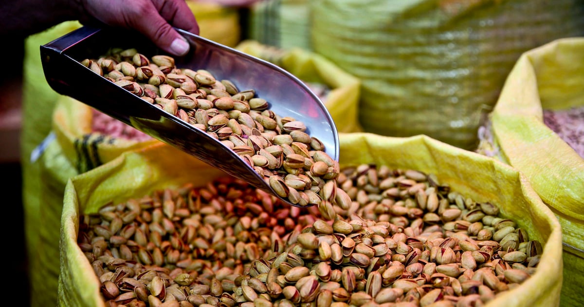 Canada bans pistachio imports from Iran amid salmonella outbreak - CTV News