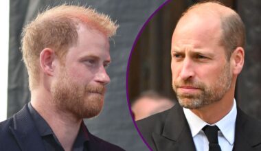 Prince Harry recalls memory with brother William in Disneyland special