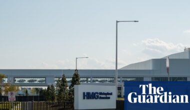 Leaked Ice document shows worker detained in Hyundai raid had valid visa
