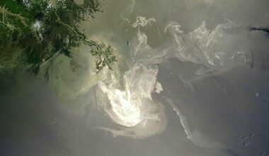 Petroleum and the promise of bioremediation