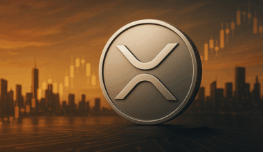 Why XRP Remains Strong Without Wall Street's Full Embrace