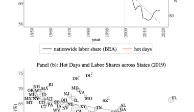 Climate change reduced the labour share in the 21st Century