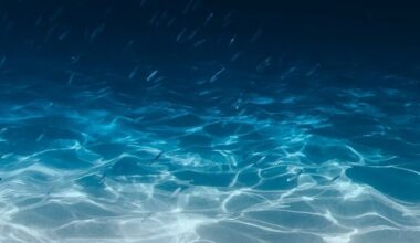 bne IntelliNews - Japanese scientists measure seafloor sinking for the first time