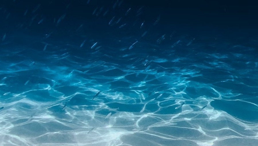bne IntelliNews - Japanese scientists measure seafloor sinking for the first time