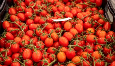 Spain’s Imports of Fruits, Vegetables from Morocco Reach €900 Million