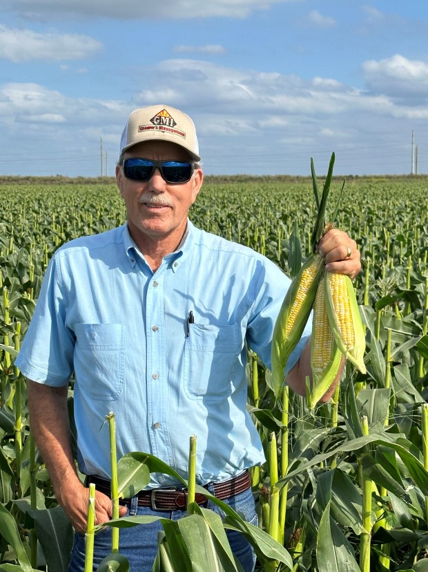 Paul R. Orsenigo is the president of Grower's Management, Inc. (courtesy, Paul R. Orsenigo)