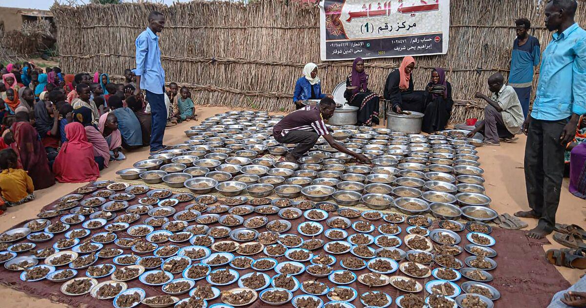 Sudanese children forced to eat animal feed as nearly 300K trapped in besieged city