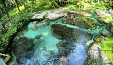 Florida Springs National park won't help, advocates say