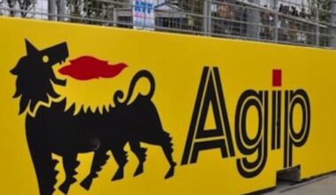 Nigeria’s oil regulator has approved a $510 million deal for TotalEnergies to divest its entire 12.5 per cent stake in Oil Mining Lease (OML) 118, home to the Bonga deepwater oilfield, to Shell and Agip.