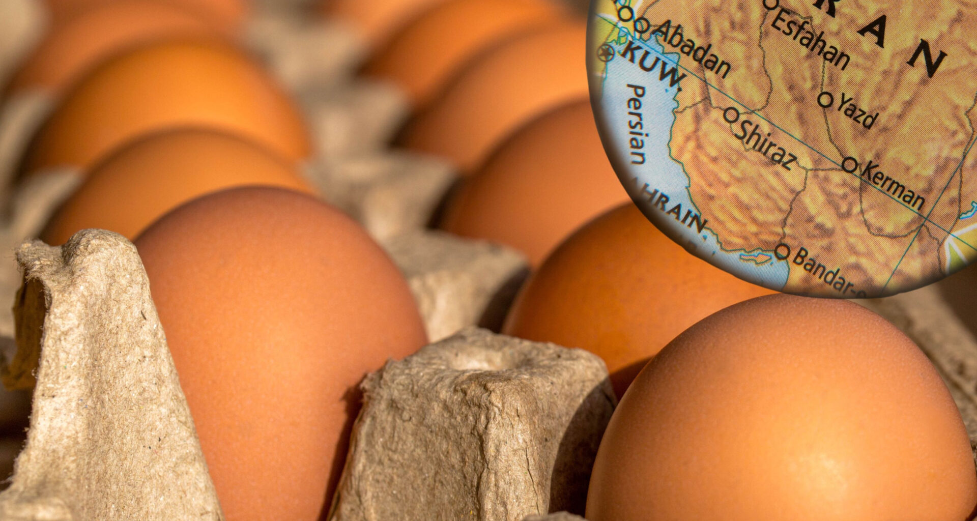 Iran's egg industry is on the brink of bankruptcy