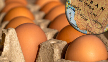 Iran's egg industry is on the brink of bankruptcy