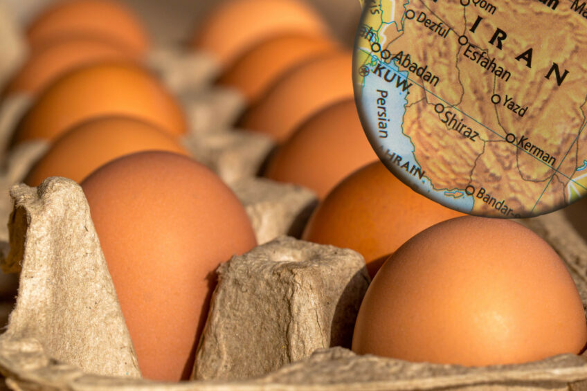 Iran currently produces between 3,500 and 3,600 tonnes of eggs per day on average. Photo: Canva
