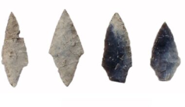 Reconstruction drawing of collective burial 263, 264 and 264a. Credit: A. Petrović et al., PloS One (2025)