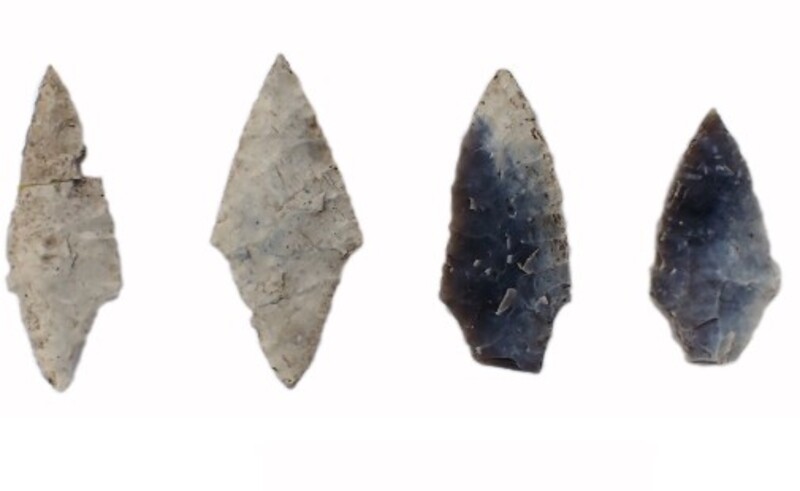Reconstruction drawing of collective burial 263, 264 and 264a. Credit: A. Petrović et al., PloS One (2025)