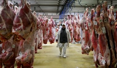 Les lobbys de la viande s’entourent de « désinfluenceurs » pour discréditer les travaux scientifiques sur les régimes alimentaires