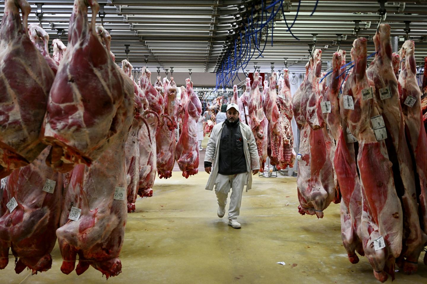 Les lobbys de la viande s’entourent de « désinfluenceurs » pour discréditer les travaux scientifiques sur les régimes alimentaires
