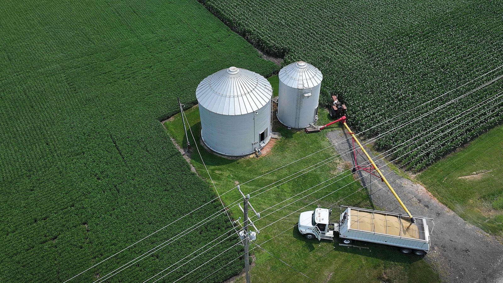 The American farmers China is using as a trade-war bargaining chip