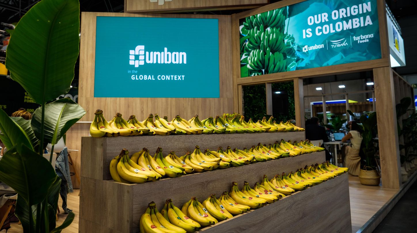 Uniban launches logistics unit to shorten European delivery times