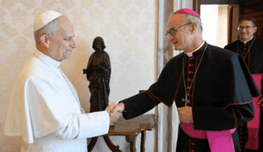 Pope Leo XIV receives Thibault Verny, president of the Pontifical Commission for the Protection of Minors, and Commission Secretary, Bishop Luis Manuel Alí Herrera.