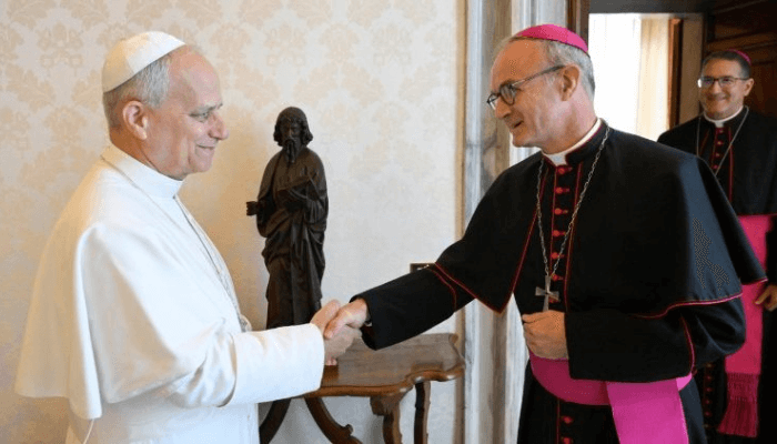 Pope Leo XIV receives Thibault Verny, president of the Pontifical Commission for the Protection of Minors, and Commission Secretary, Bishop Luis Manuel Alí Herrera.
