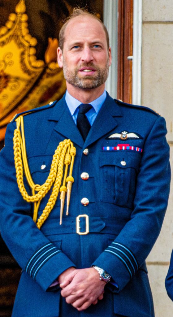 Prince William in military uniform