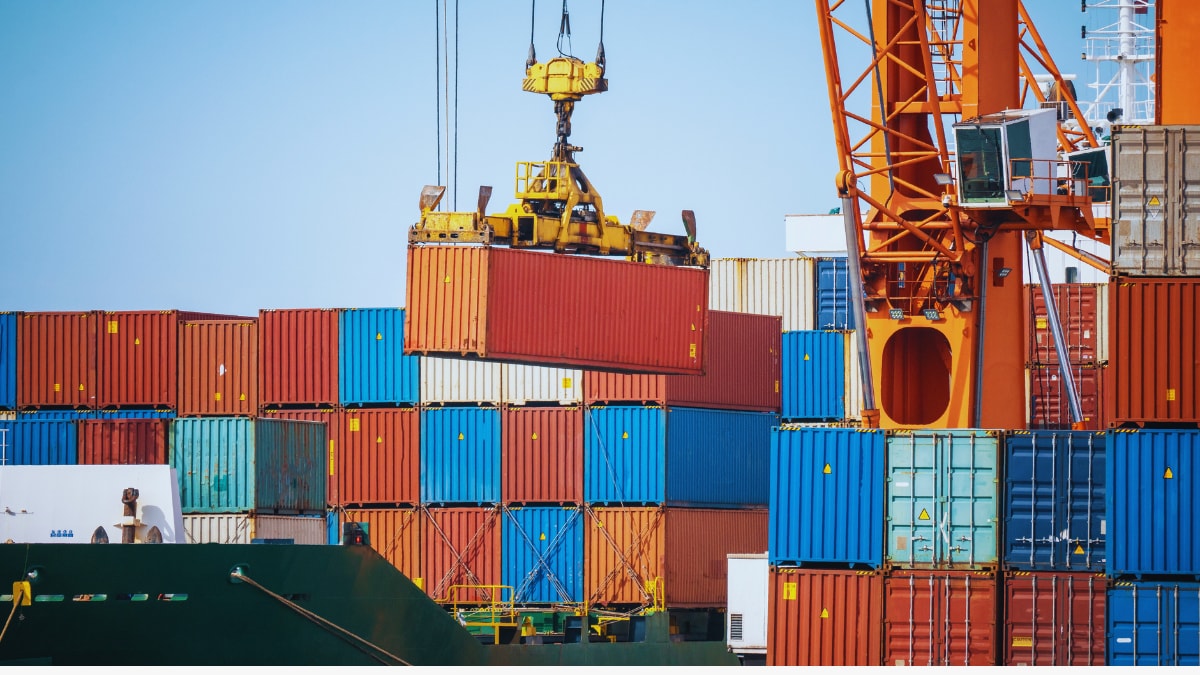 Hit by 59% US Tariff, Indian Seafood Exporters Pivot to EU, China for Relief. (image Source: Reuters)