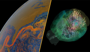 The AMOC current and a mouse brain.