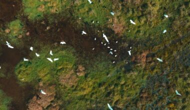 Your body was not designed to swallow the whole planet’s screams...
but the answer isn’t to unplug completely, now that we can hear her crying out day after day, the answer is not to shut out the noise, but to save her