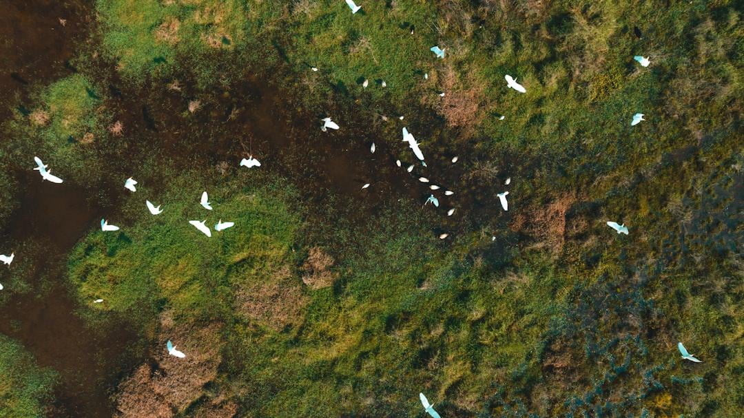 Your body was not designed to swallow the whole planet’s screams...
but the answer isn’t to unplug completely, now that we can hear her crying out day after day, the answer is not to shut out the noise, but to save her