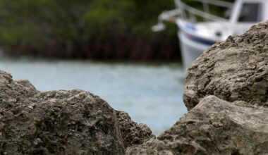 Experts warn migrant surge could hit Florida’s coast as 4 migrant boats stopped Labor Day weekend