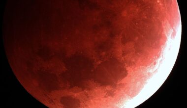 Blood Moon: Lunar eclipse to grace New Zealand skies overnight and early Monday