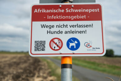 ASF Germany