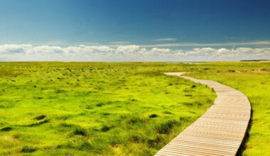 A climate change education bill in Massachusetts
