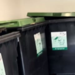 “Os voy a enseñar lo que me da más asco de Alemania”: una española impacta con lo que ha grabado