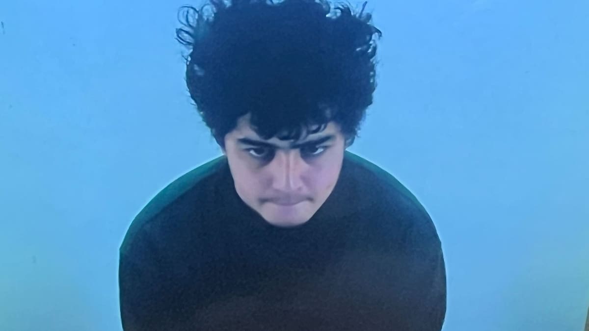 Rotorua: Man admits taking girl, 3, with intent to have sexual connection