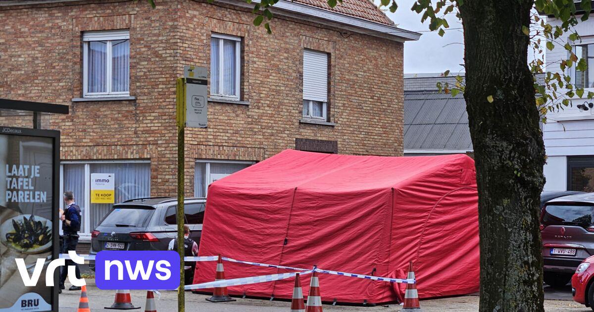 Dader van dodelijke steekpartijen in Roeselare maakt derde slachtoffer