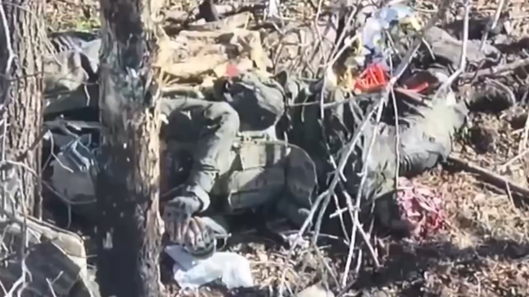 A wounded russian invader, missing a leg, finished himself off by detonating a grenade in the Donetsk region